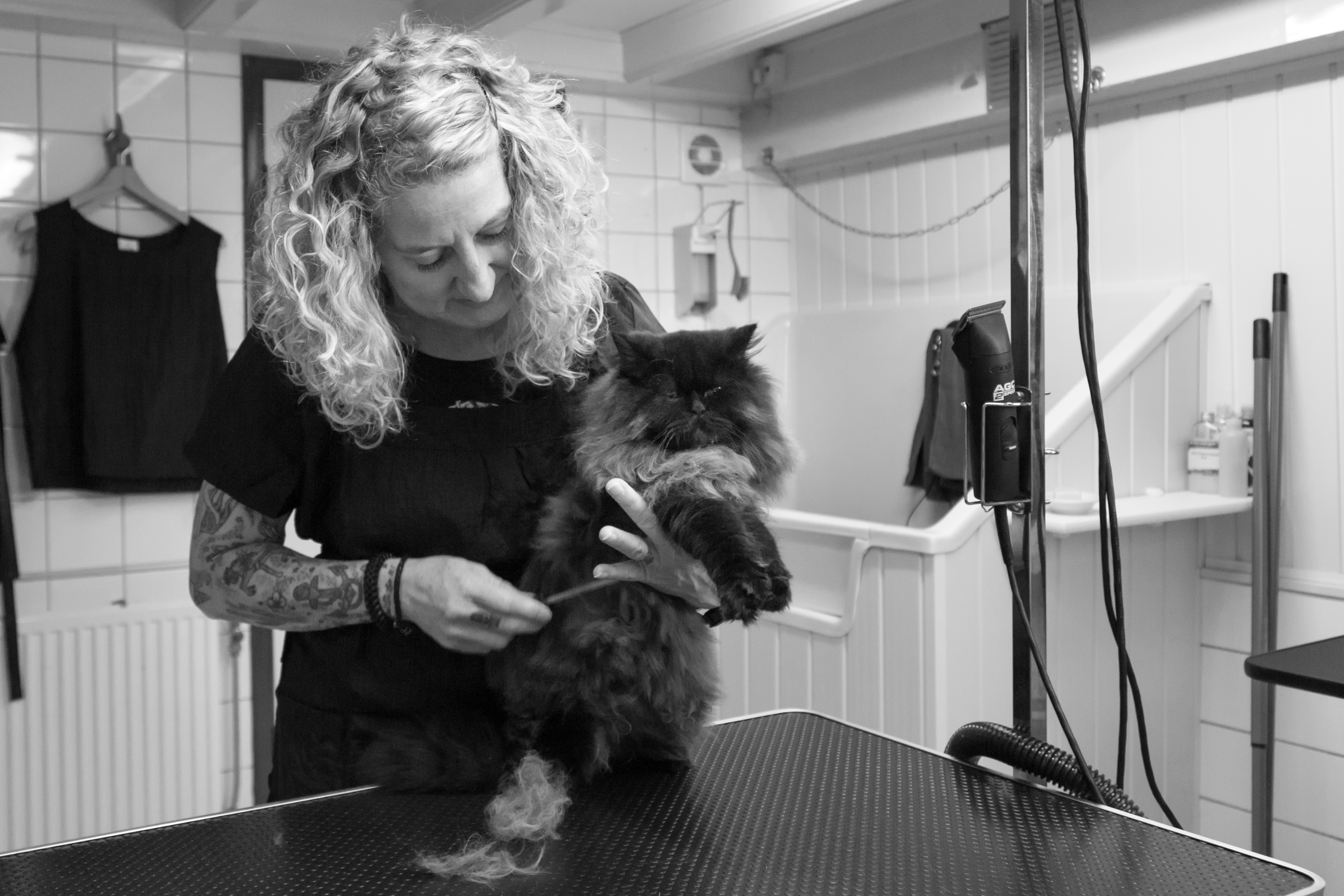 The Catbarber Kattentrimsalon