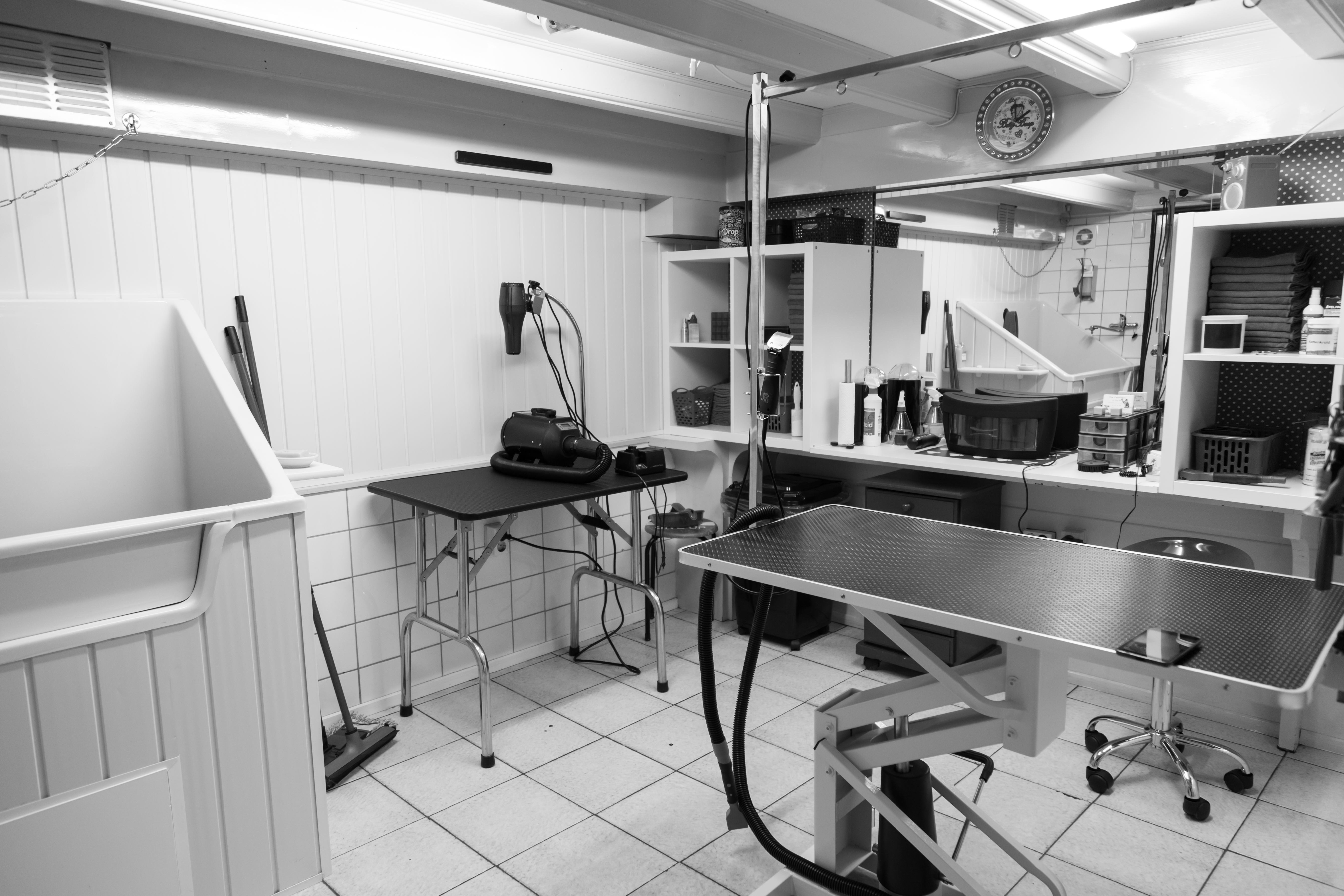 The Catbarber Amsterdam Zuid